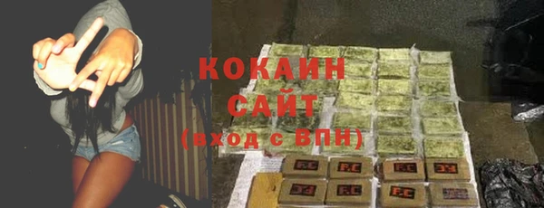 сатива Осинники