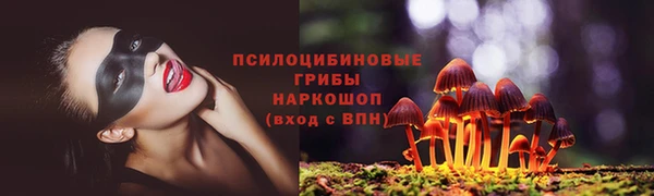 сатива Осинники